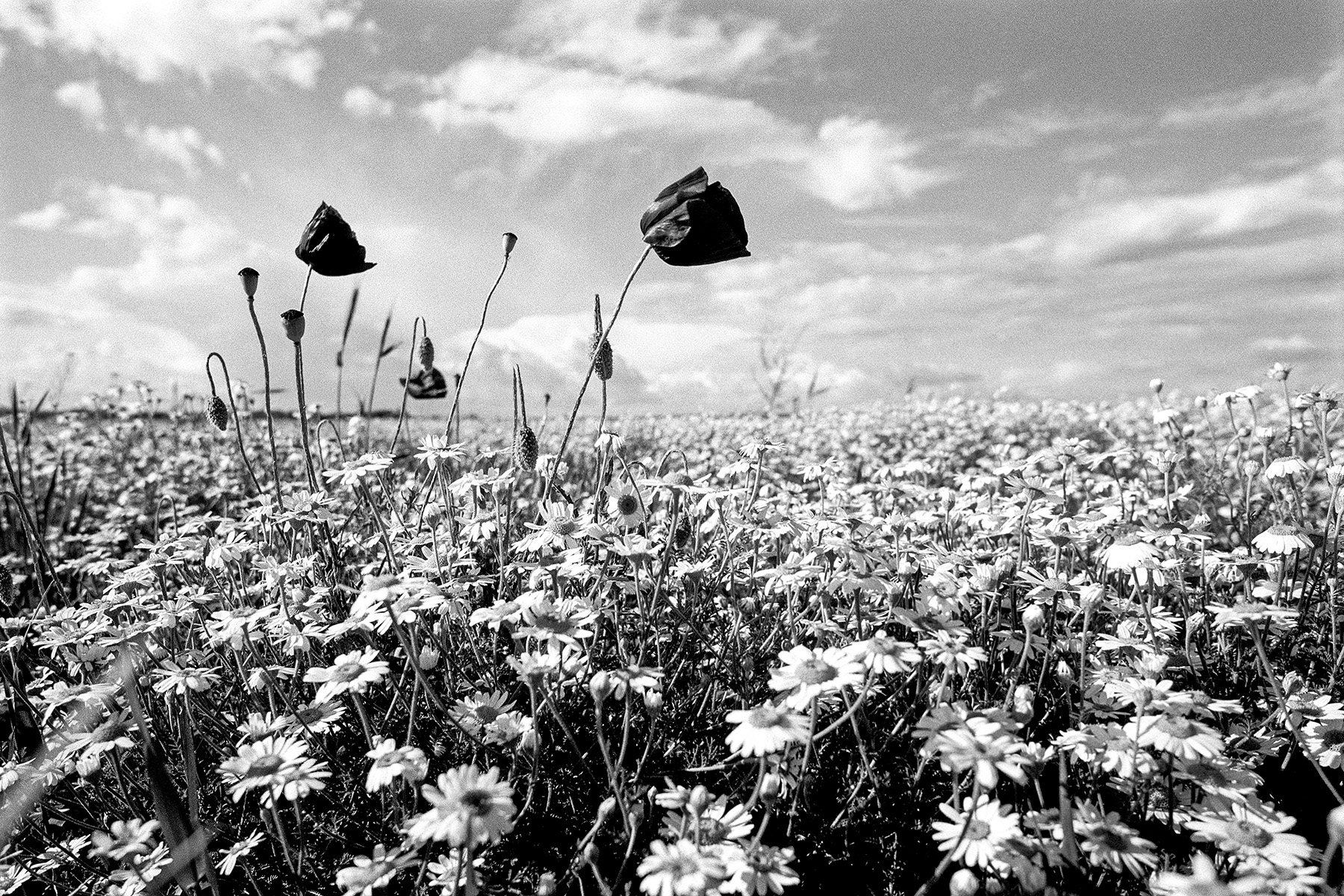 Selected work 02