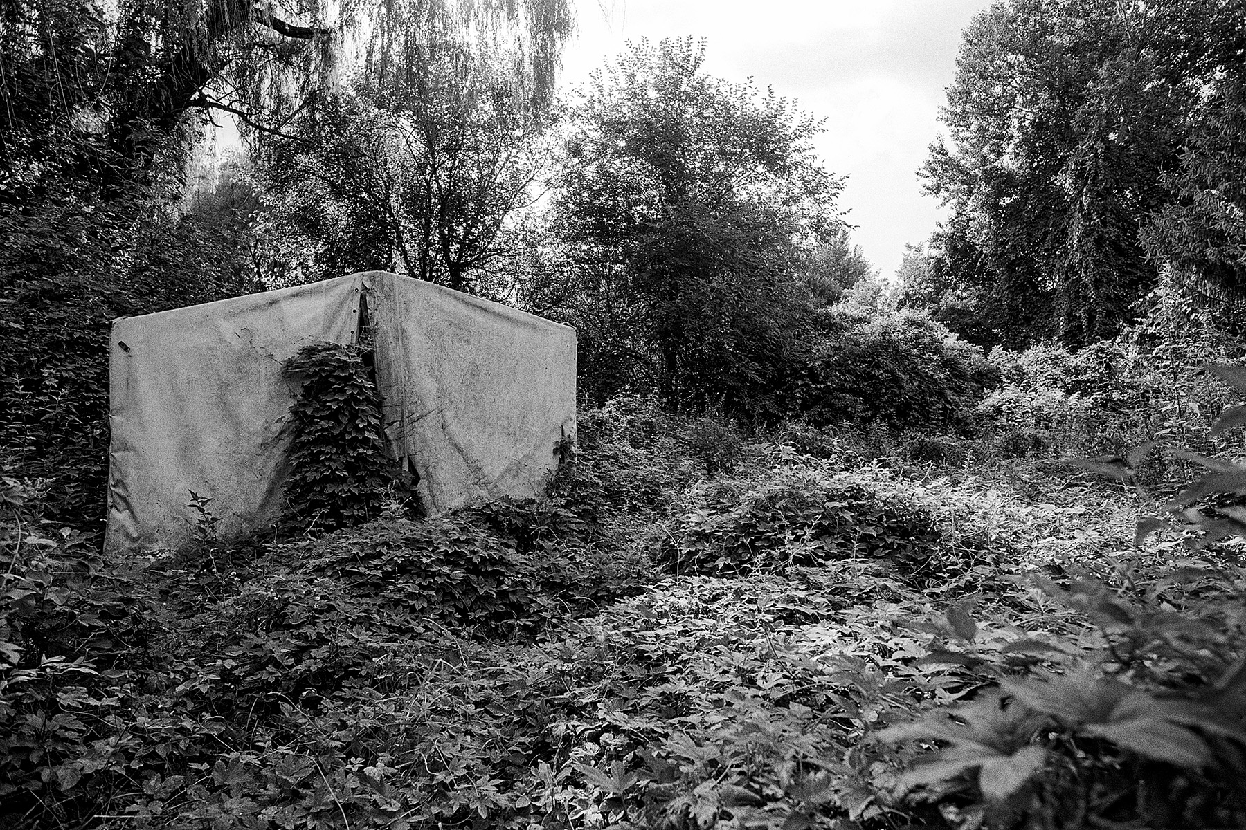 Selected work 04
