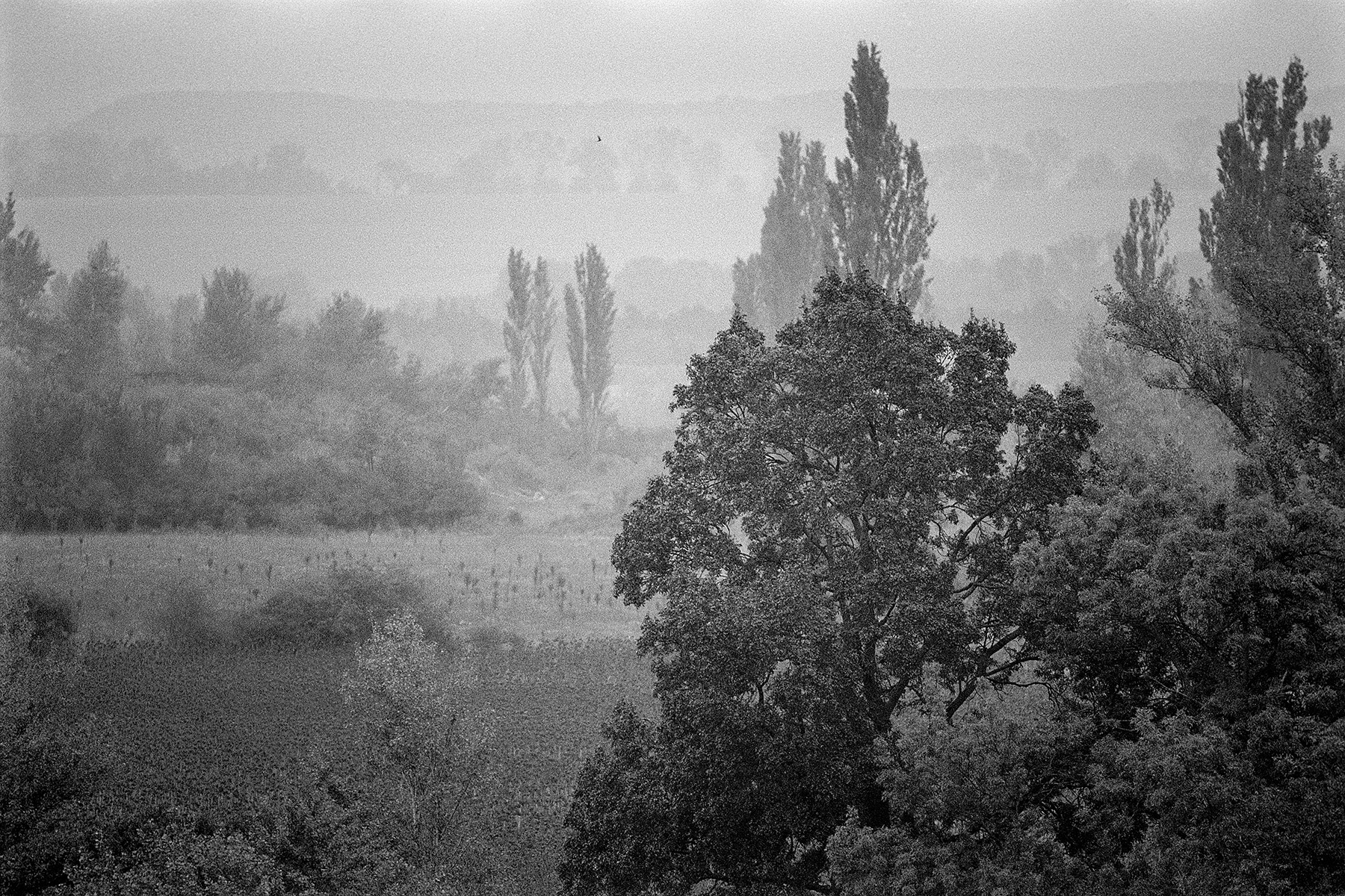 Selected work 05