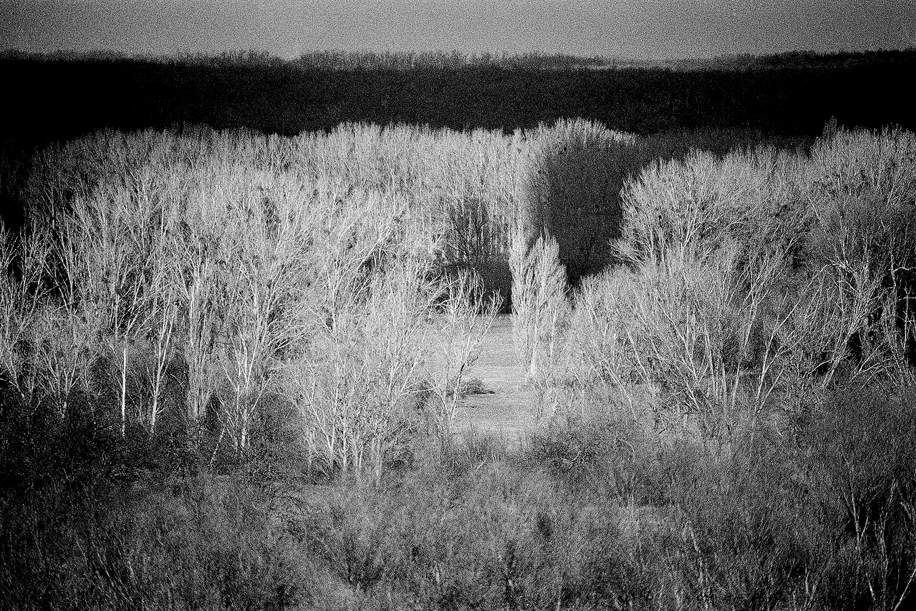 Selected work 06